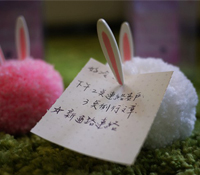 兔兒滾滾毛球來破箱，MENO功能為你紀錄生活中的大小事