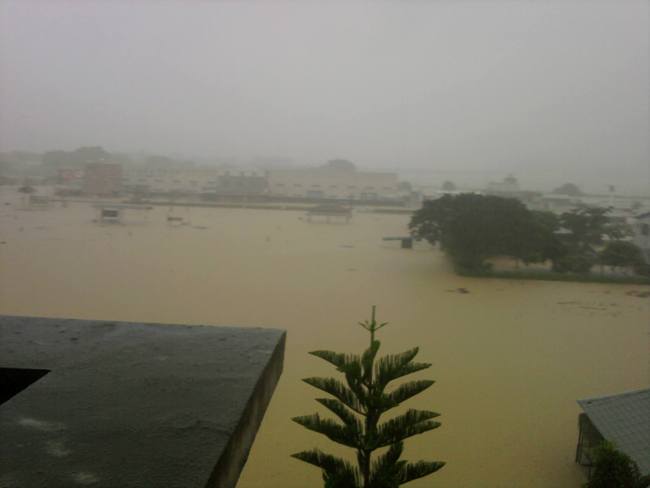 學習與大自然共生之道