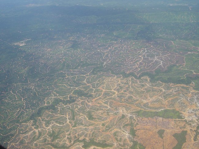愛護環境從自身做起，少用就少開發！