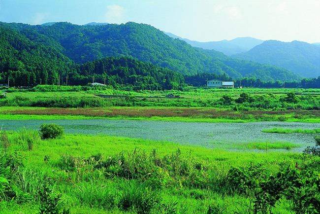 擁有一切的人，為什麼更貪婪？ 