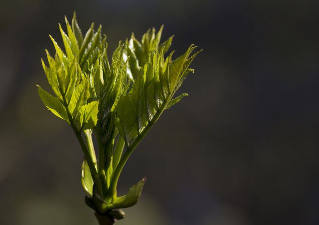 公民意識美了，才有好的環境