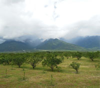 尋找永續發展的典範