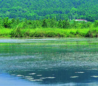運用多樣性生態創造台灣新價值