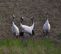 公民意識覺醒的力量