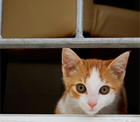 開眼開心才能發現生活的美好