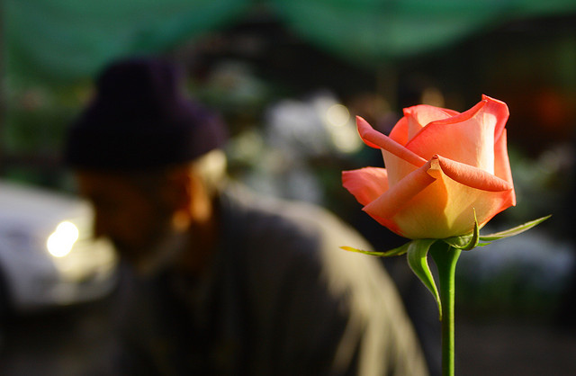 如果有一天，你的家人成了漸凍人......