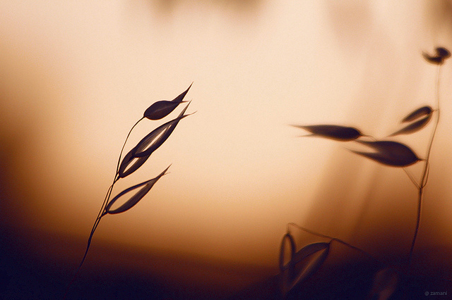 記憶空了，愛滿了