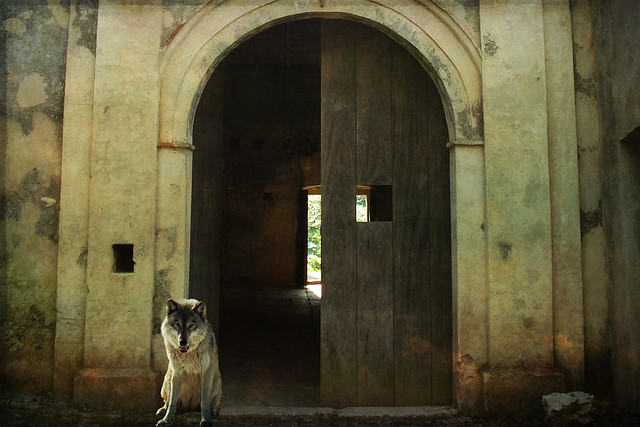 馬雲的創業之路─不要跟別人比誰幸運，要比誰更有毅力