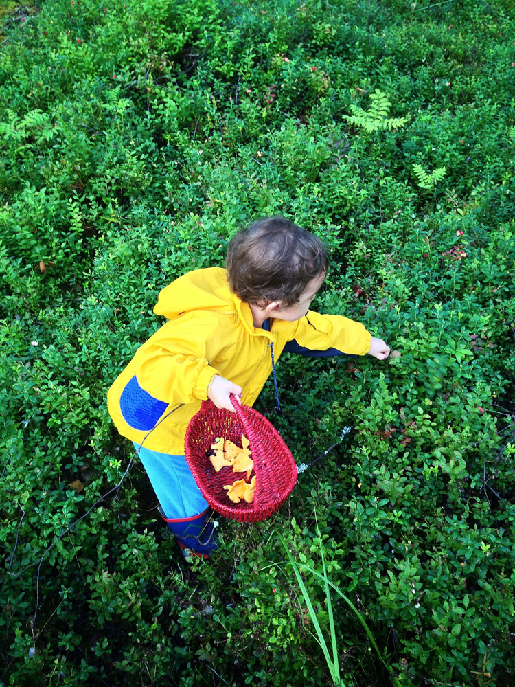 從零競爭的教育開始