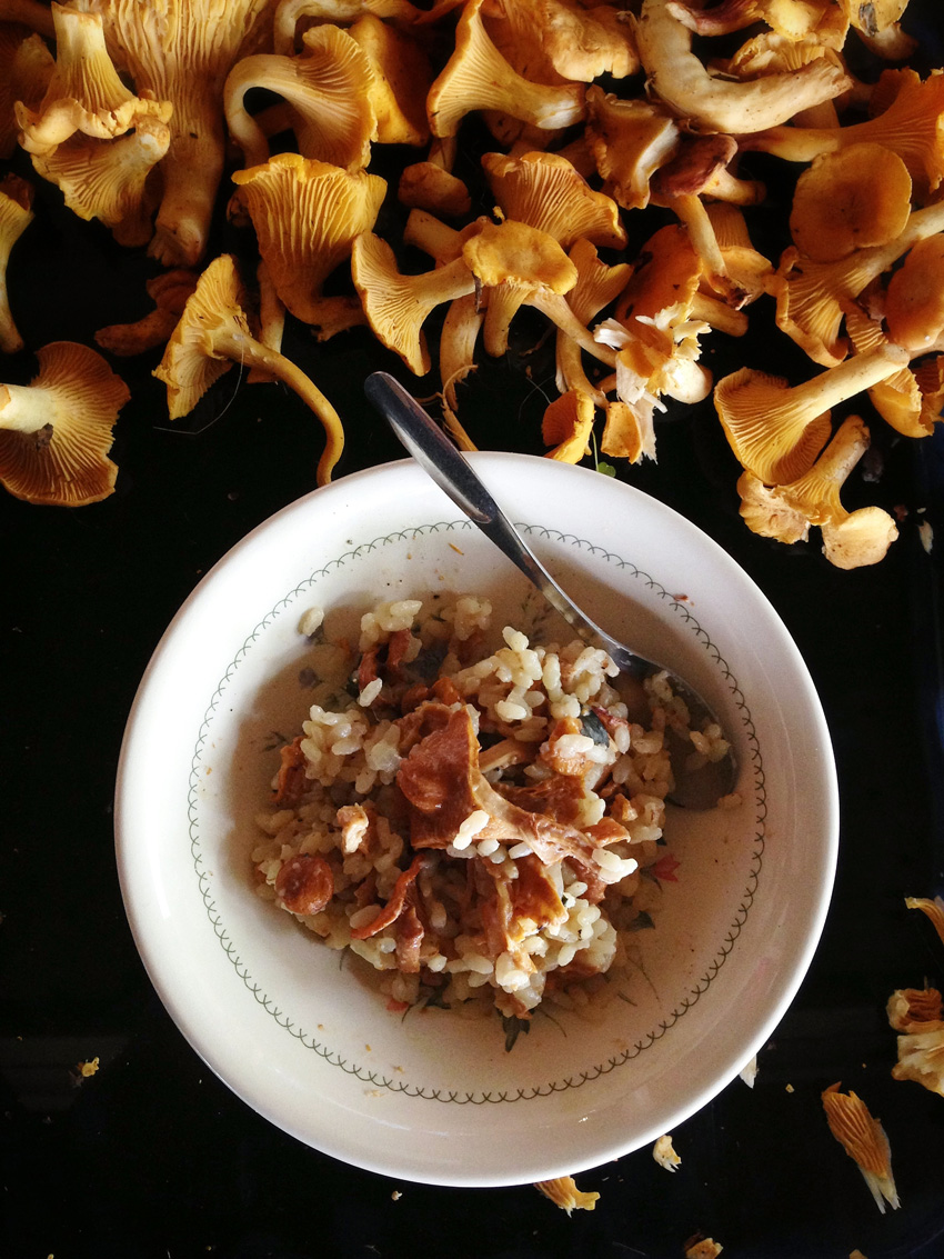 在美食的亮與暗之間