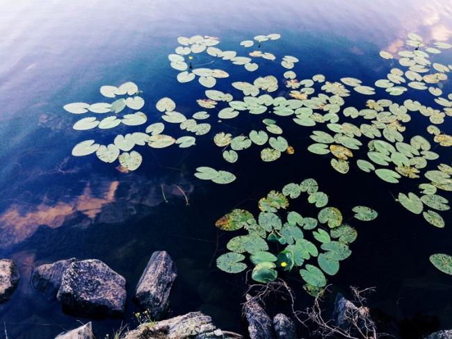 來看孫子，不帶孫子！