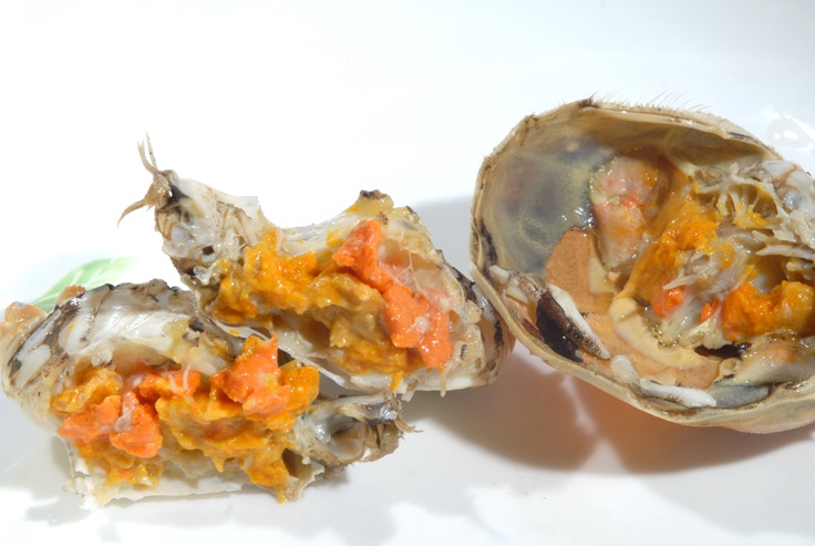 台灣大閘蟹 好吃在「新鮮」