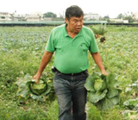 忽冷忽熱四月天，農友在忙甚麼?