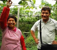 葡萄的良心種植法