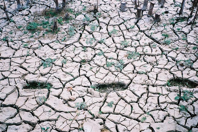 「限水」啟動 英文可不是limit water喔！