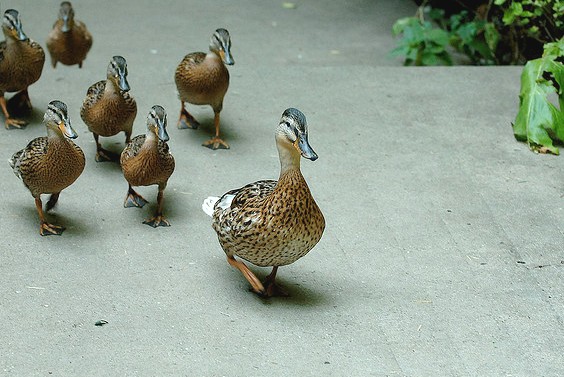 政商名流教你的16堂領導課