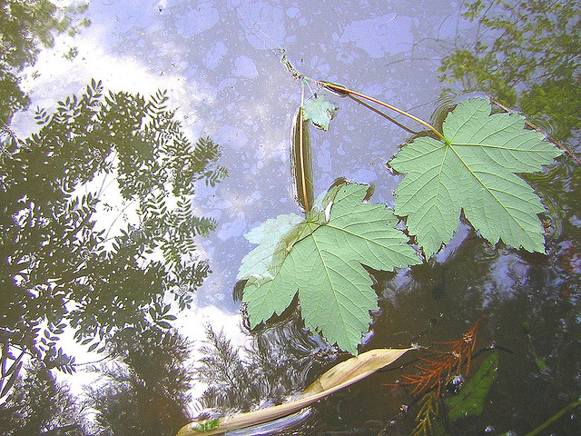 20幾歲，先學「拿起」，再談「放下」！