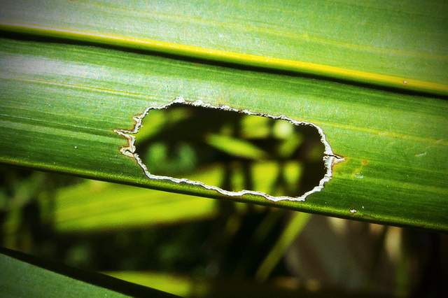 看透問題，就能找到賺錢機會！