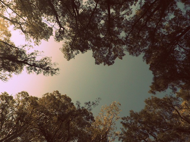 臨終之時，好好卸下今生的包袱