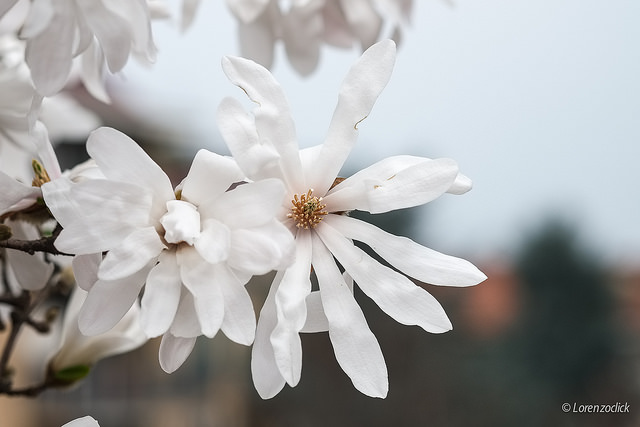 10種增加韌性的方法