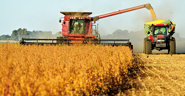 消減食物券預算使不平等加劇