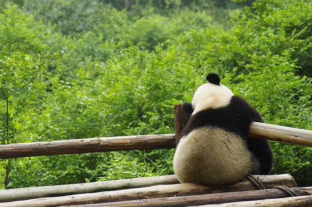 午休輕冥想，下午工作更有效率