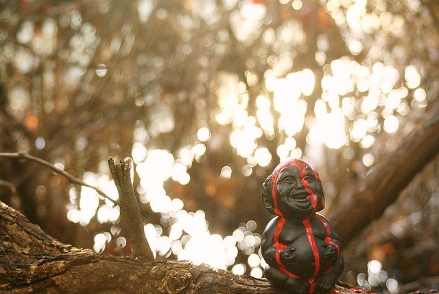 40歲之後，其實你需要吃胖一點！