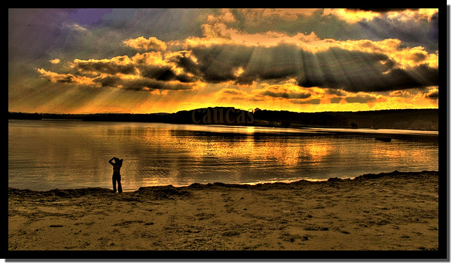 利用敲打樹，釋放更自在的自己！      