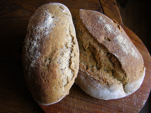 基因改造小麥，會致癌！