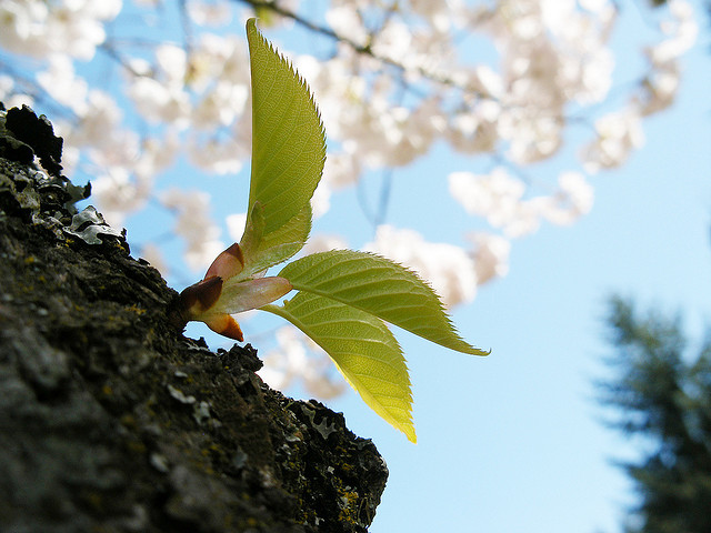 超越5%存活率，我活過了16年