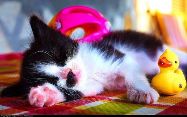 讓你看到床就想睡的6大原則