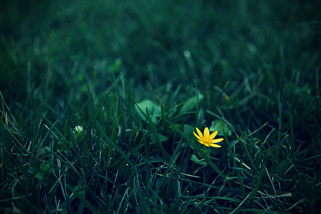 幸福地面對人生最後一段路