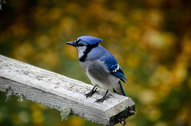 逆齡！擺脫年齡牽絆 活出健康活力