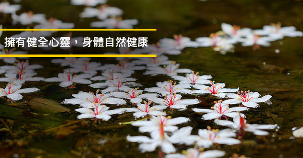 擁有健全心靈，身體自然健康