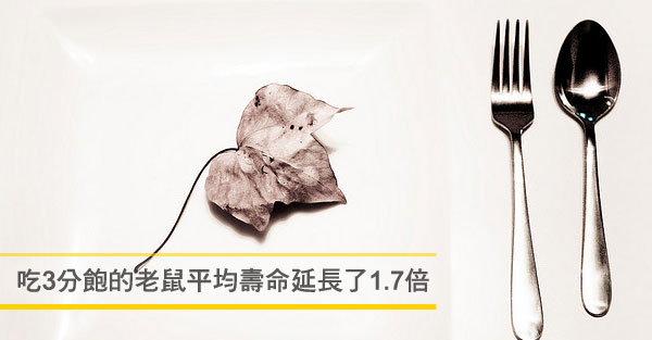 吃七分飽，癌症、心臟病減半