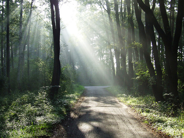 不生鏽的10大生活術