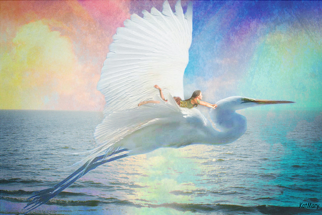 雙生涯女性 ５撇步兼顧事業與家庭