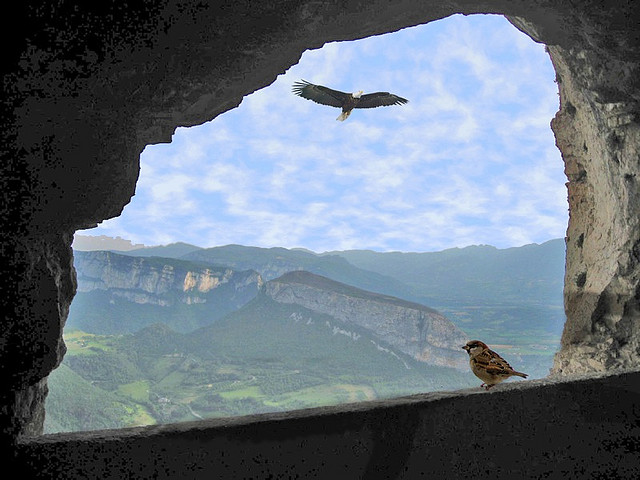 提不起的，往往就無法放下……