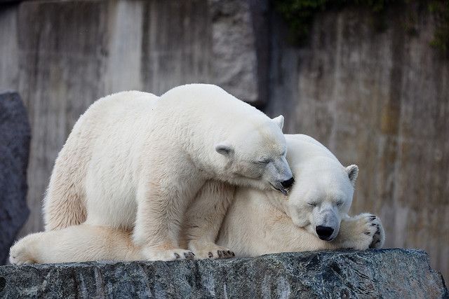 不說這三句話，男人愛你一輩子！