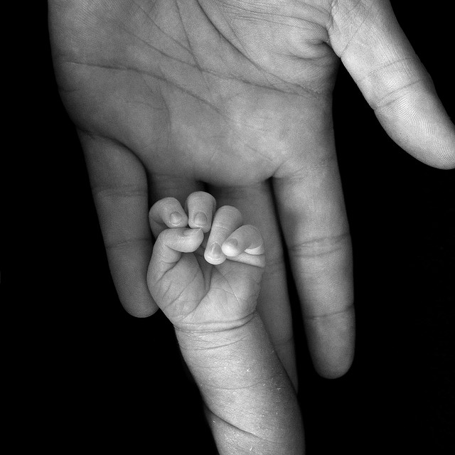 跟曹操學傳位接班智慧