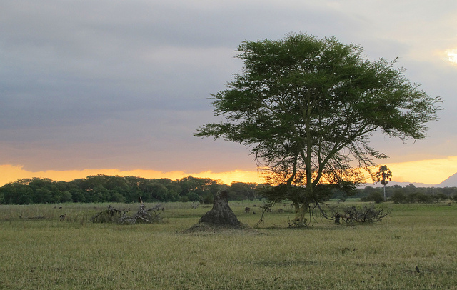 非洲的溫暖之心─馬拉威旅行的美好與愜意