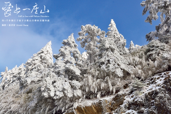 霧淞是合歡山冬季的特產，怎能錯過它
