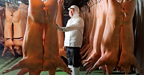 工廠化的養殖肉品業以鄰為壑