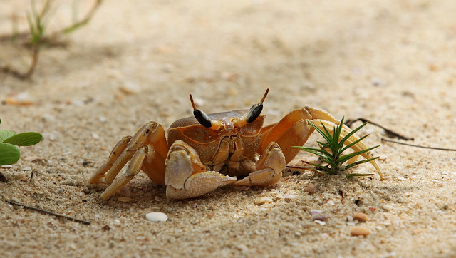 憤怒其實不能保護你