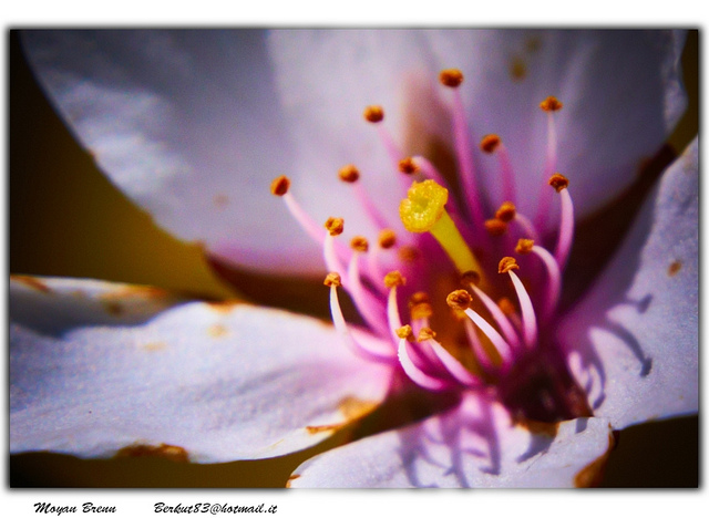 恆久快樂的祕訣