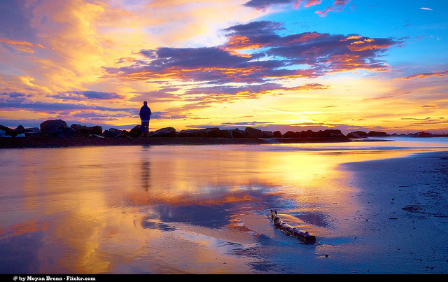 穿越夢境，遇見最真實的自己