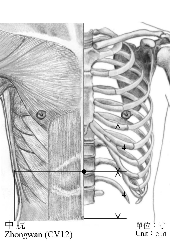 假期結束，教你快速解決「月亮臉」和「月餅肚」