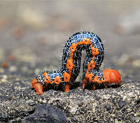 到底是誰沒禮貌