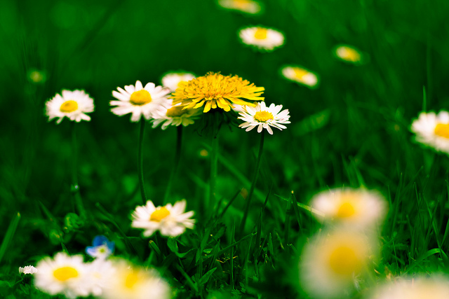 我有冠心病嗎？