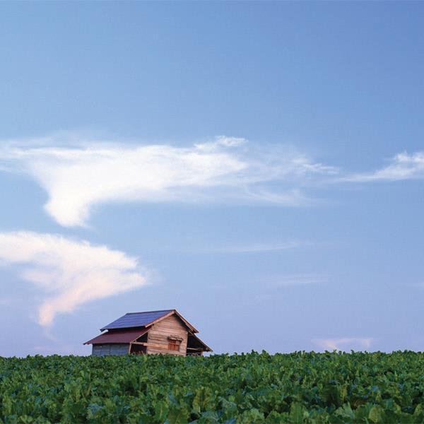 滋養於自然中的經典